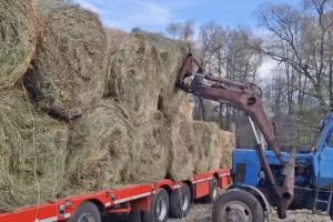 В Пензенской области приступили к заготовке кормовых резервов на зиму
