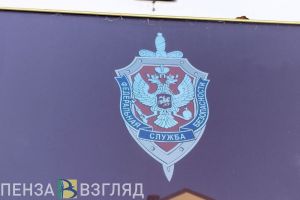 Пензенец получил условный срок за ложные сообщения о минировании