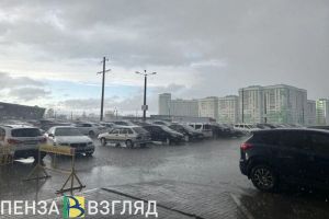Дождь и 11 градусов тепла ожидается в Пензенской области 21 октября