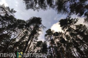 Пензенцы узнали о стабилизации геомагнитной обстановки