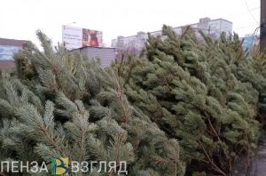 В Пензе 20 ноября пройдет аукцион на размещение елочных базаров