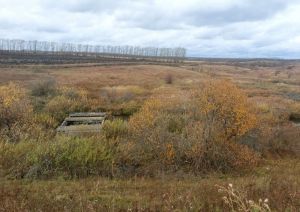 В Мокшанском районе обследовали бесхозяйные ГТС