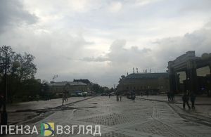 В Пензенской области над районами введен план «Ковер»
