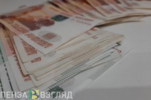 В Госдуме предложили новые доплаты для пензенских пенсионеров старше 70 лет