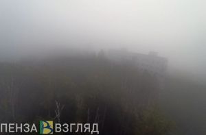 27 октября в Пензенской области ожидается +12 градусов и сильный туман