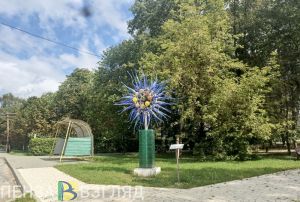 Стало известно, чем занята территория бывшего «Красного гиганта» в Никольске