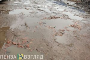 Пензенским водителям хотят отменять штрафы за нарушения из-за дорожных ям