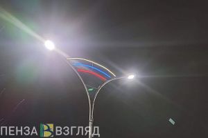 Гришаев обсудит с главой Пензы отсутствие освещения на новой дороге в районе ГПЗ