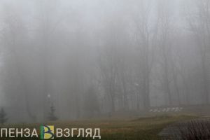 30 октября в Пензенской области будет туманным и дождливым