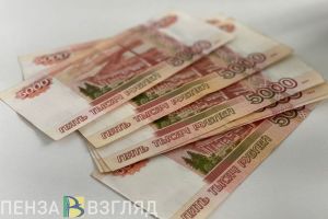 Пензенцам рассказали, как увеличить размер пособий в декрете
