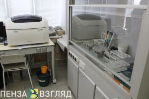 В Пензенской области 2616 человек пострадали от нападения клещей за 2025 год