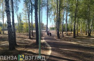 В сквере «Семейный» на ГПЗ в Пензе появятся качели, декоративные фигуры и туалет