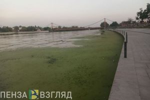Глава Пензы призвал жителей не бросать мусор в Суру