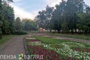 Денисов: в пензенском сквере со «Светофорным деревом» вырубки не будет