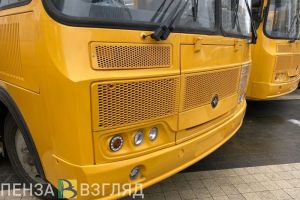 В пензенское село автобусы едут только по предварительному телефонному звонку