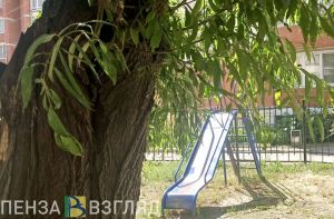 В Пензе во время ремонта сетей загубили деревья и затопили детскую площадку