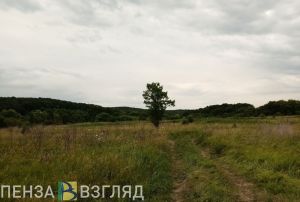 В Пензенской области в сельхозоборот ввели 8,8 тысяч гектар пашни