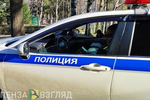 Пензенская Госавтоинспекция организует проверки на дорогах 5 ноября