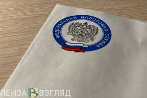 С пензенских физлиц и самозанятых без статуса ИП налоговые долги взыщут без суда