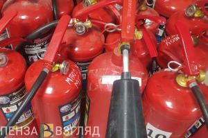 Денисов поручил усилить противопожарную профилактику в Пензе