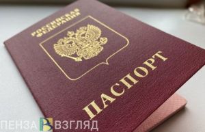 Из Пензенской области в 2025 году депортировали 43 мигранта