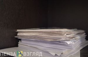 В ноябре пензенцев призывают сдавать макулатуру