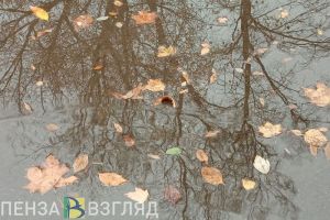 В Пензенской области 7 ноября пройдут дожди