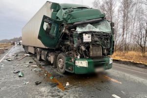 В Иссинском районе мужчина погиб под колесами грузовика