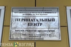 169 детей родилось в Пензенской области с помощью ЭКО за 9 месяцев 2025 года