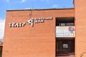 Новый зал в кукольном театре, ДТП с 2 погибшими и дело о черной вдове: новости Пензы и области за 7 ноября