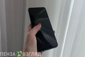 Пензенцы узнали о предложении депутатов поменять всем номера СНИЛС и ОМС