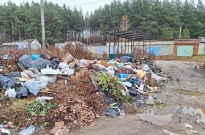 В Камешкирском районе ликвидировали несанкционированную свалку