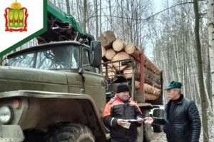 В Пензенской области стартовала операция «Лесовоз»