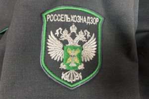 В Пензенской области собственник заплатит штраф за заросшие травой сельхозземли