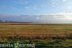В 2025 году зарастало более 76 тысяч гектаров сельхозземель в Пензенской области