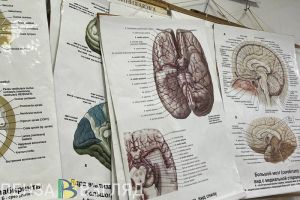 Пензенцы узнали причины введения закона о целевом обучении бюджетников-медиков
