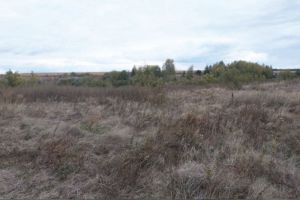 Поселение в Пензенской области получило статус объекта археологического наследия