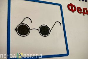 Пензенские инвалиды по зрению получили более 400 средств реабилитации