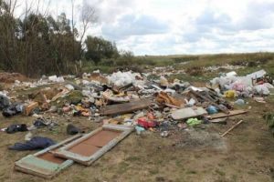В Пензенской области очистили от мусора сельхозугодия на площади свыше 7 га