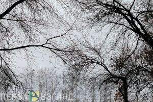 В Пензенской области 13 ноября зафиксировали магнитную бурю