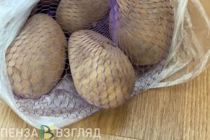 В Сердобске пенсионерке вынесли приговор за кражу еды из магазина