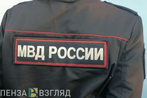 Пензенец украл и увез на машине домой 5 поросят