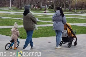 Пензенцы с детьми могут компенсировать затраты через налоговые вычеты