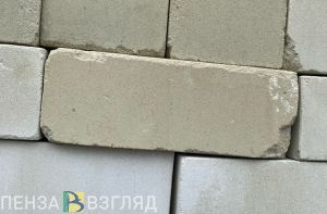 Мэрия Пензы постановила снести самовольную постройку на ул. Арбековской