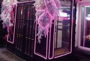Здания на Московской в Пензе начали украшать к Новому году