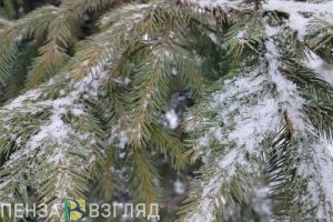 В воскресенье в Пензенской области прогнозируют снег с дождем и гололедицу