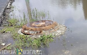 Жители ул. Ватутина в Пензе сообщили об озерах из-за засорившейся ливневки