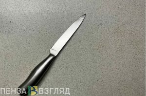 SHOT: появились подробности по делу зареченки, расчленившей 6-летнего мальчика