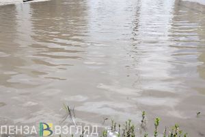 Дорожную яму на улице Вяземского в Пензе ликвидируют не раньше 2026 года