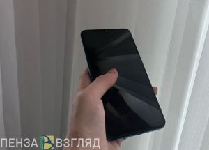 Пензенцы смогут сообщить о незаконных сборах средств в школах на горячую линию
